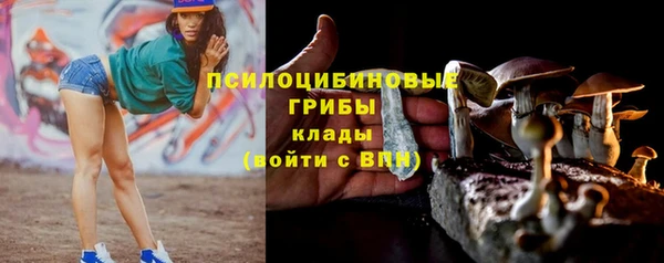 ПСИЛОЦИБИНОВЫЕ ГРИБЫ Михайловка