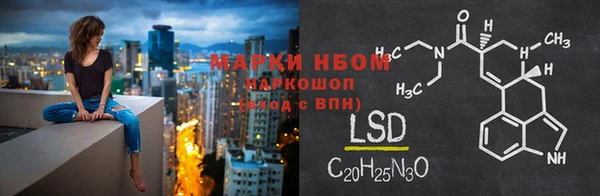 ПСИЛОЦИБИНОВЫЕ ГРИБЫ Михайловка