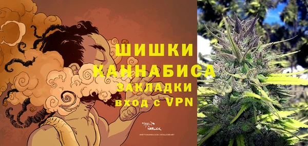 ПСИЛОЦИБИНОВЫЕ ГРИБЫ Михайловка