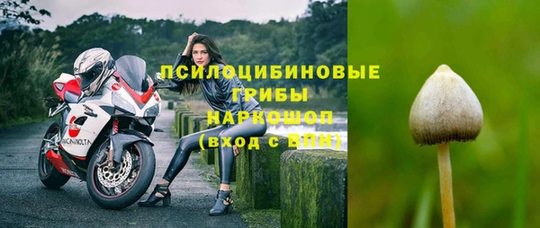 ПСИЛОЦИБИНОВЫЕ ГРИБЫ Михайловка