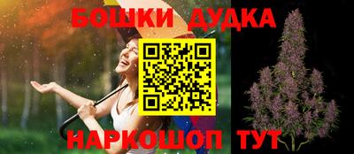 МДПВ Тула