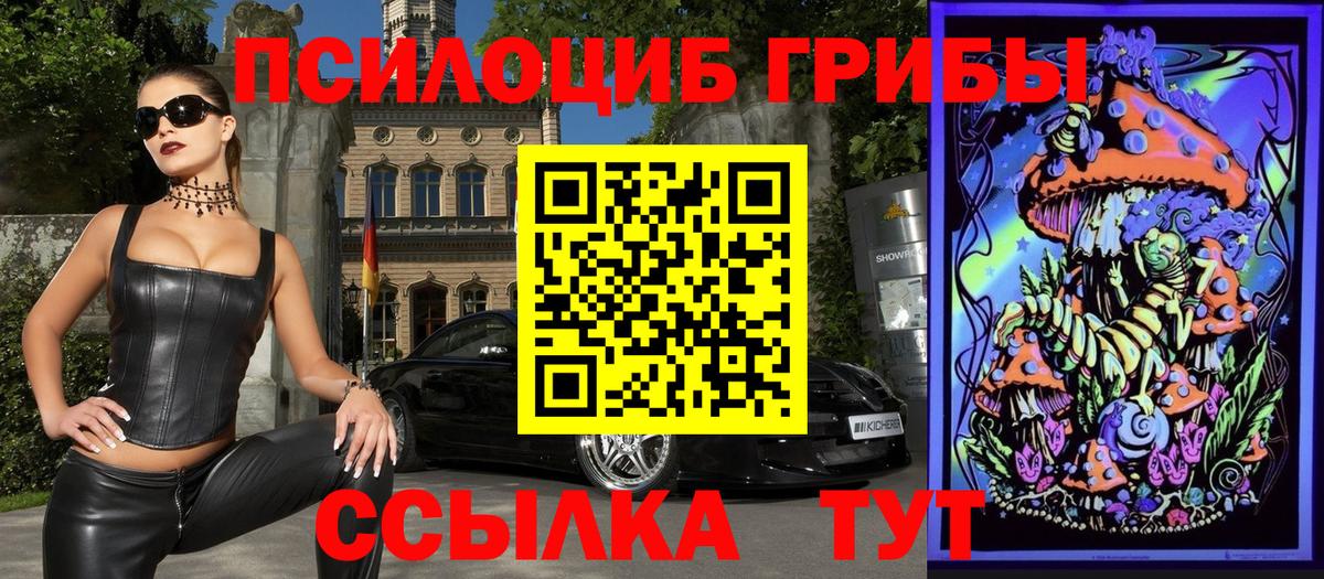 Псилоцибиновые грибы Psilocybe Саратов