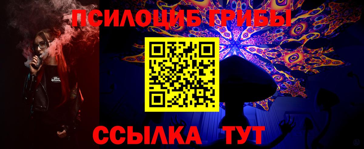 Псилоцибиновые грибы GOLDEN TEACHER  Вход с VPN  Саратов  Псилоцибиновые грибы мухоморы 